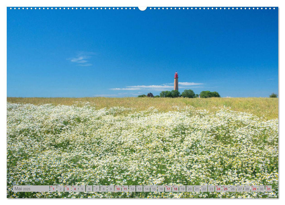 Leuchttürme - Wächter der Küsten (CALVENDO Premium Wandkalender 2025)