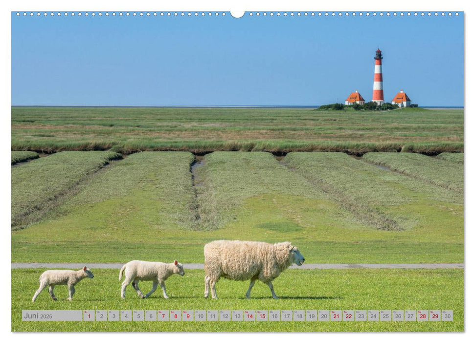 Leuchttürme - Wächter der Küsten (CALVENDO Premium Wandkalender 2025)