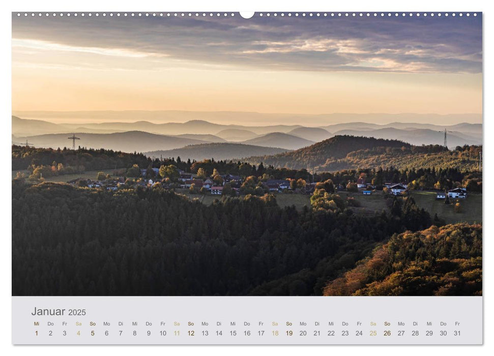 Augenblicke im Pfälzerwald (CALVENDO Premium Wandkalender 2025)