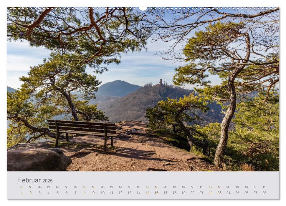 Augenblicke im Pfälzerwald (CALVENDO Premium Wandkalender 2025)