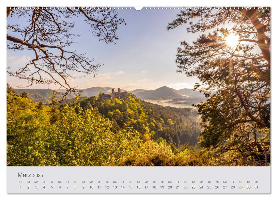 Augenblicke im Pfälzerwald (CALVENDO Premium Wandkalender 2025)