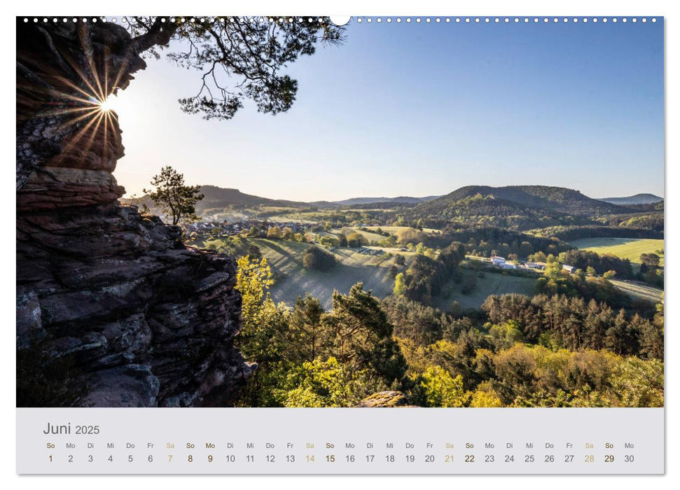 Augenblicke im Pfälzerwald (CALVENDO Premium Wandkalender 2025)