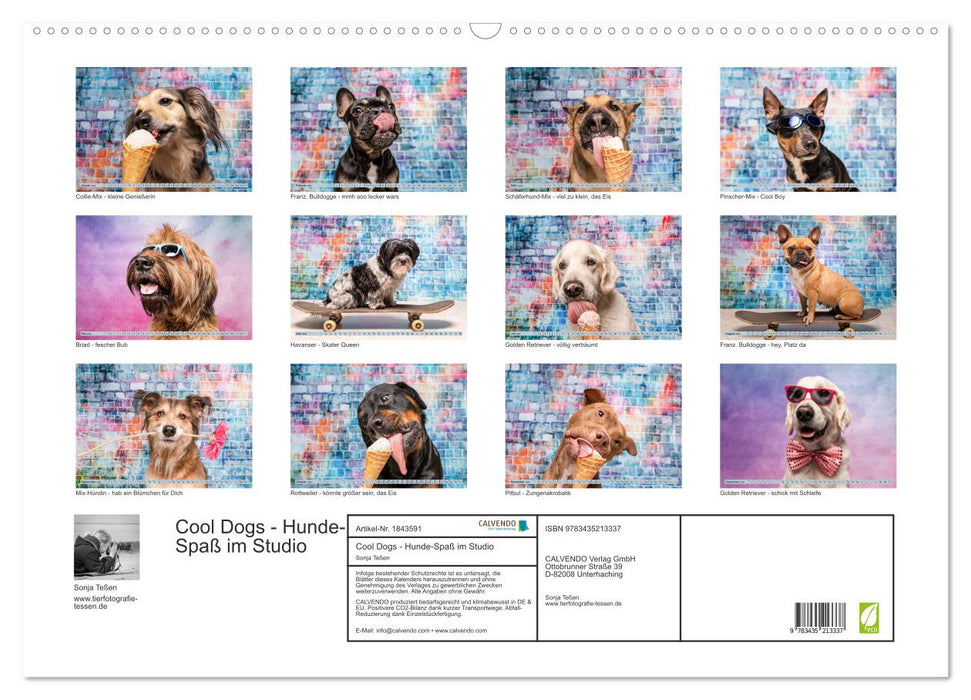 Cool Dogs - Hunde-Spaß im Studio (CALVENDO Wandkalender 2025)