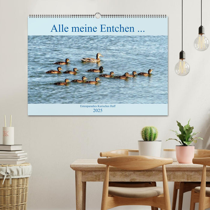 Alle meine Entchen ... Entenparadies Kurisches Haff (CALVENDO Wandkalender 2025)