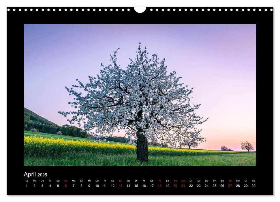 My Switzerland (CALVENDO Wandkalender 2025)