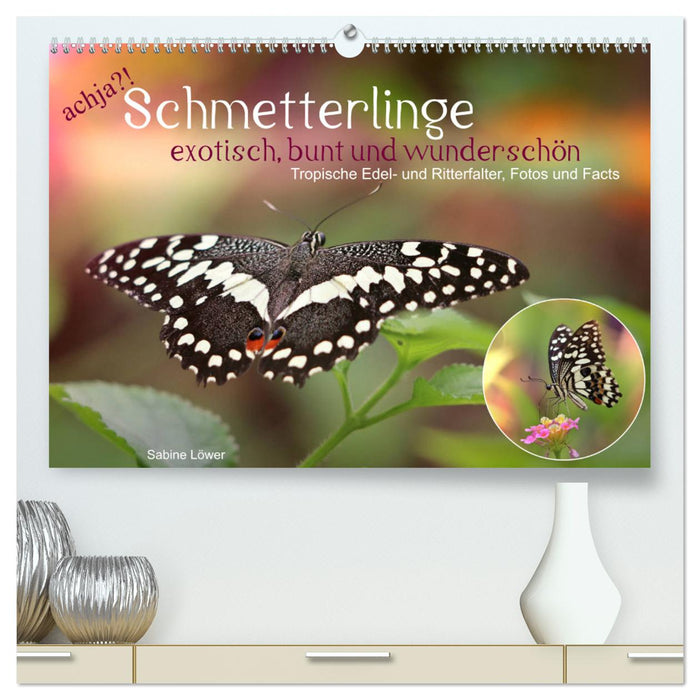 achja?! Schmetterlinge, exotisch, bunt und wunderschön (CALVENDO Premium Wandkalender 2025)