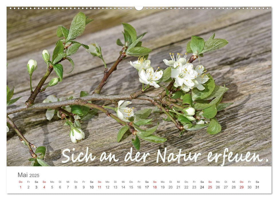 Zufrieden leben ist nicht schwer... (CALVENDO Wandkalender 2025)