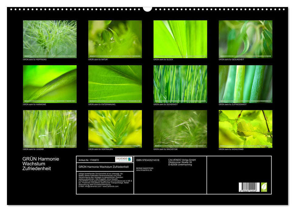GRÜN Harmonie Wachstum Zufriedenheit (CALVENDO Wandkalender 2025)