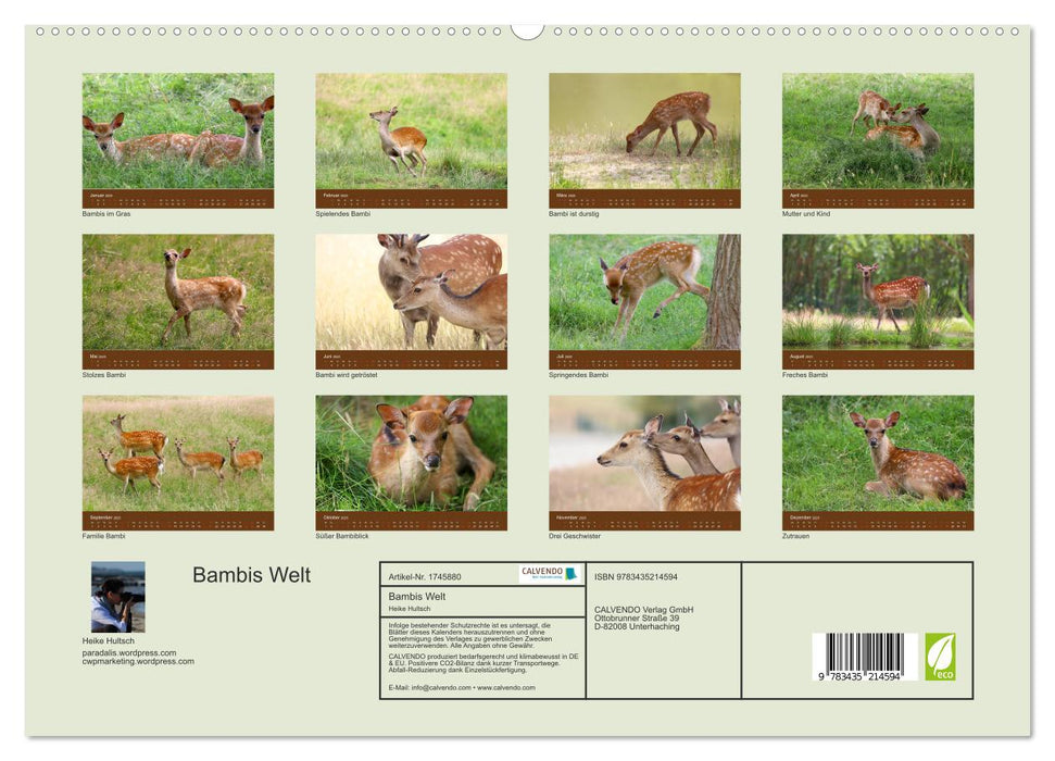 Bambis Welt (CALVENDO Premium Wandkalender 2025)