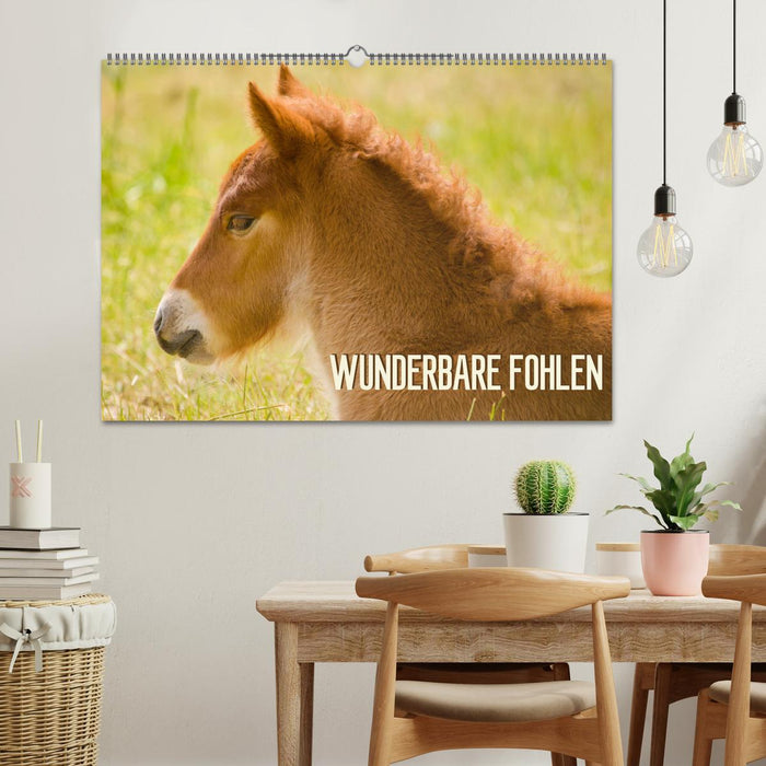 Wunderbare Fohlen (CALVENDO Wandkalender 2025)