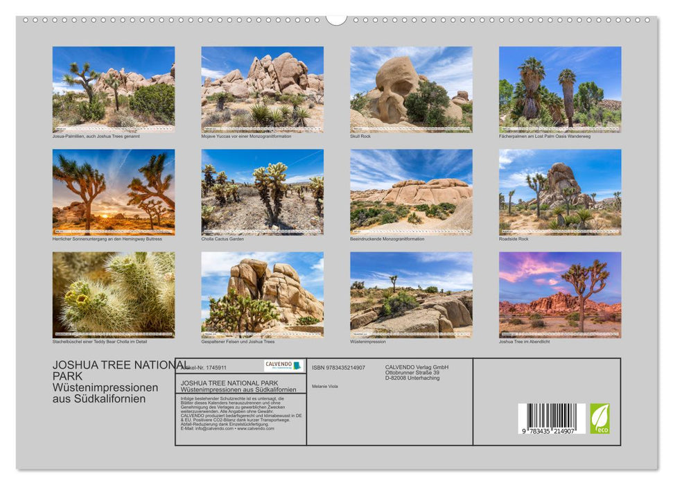 JOSHUA TREE NATIONAL PARK Wüstenimpressionen aus Südkalifornien (CALVENDO Premium Wandkalender 2025)