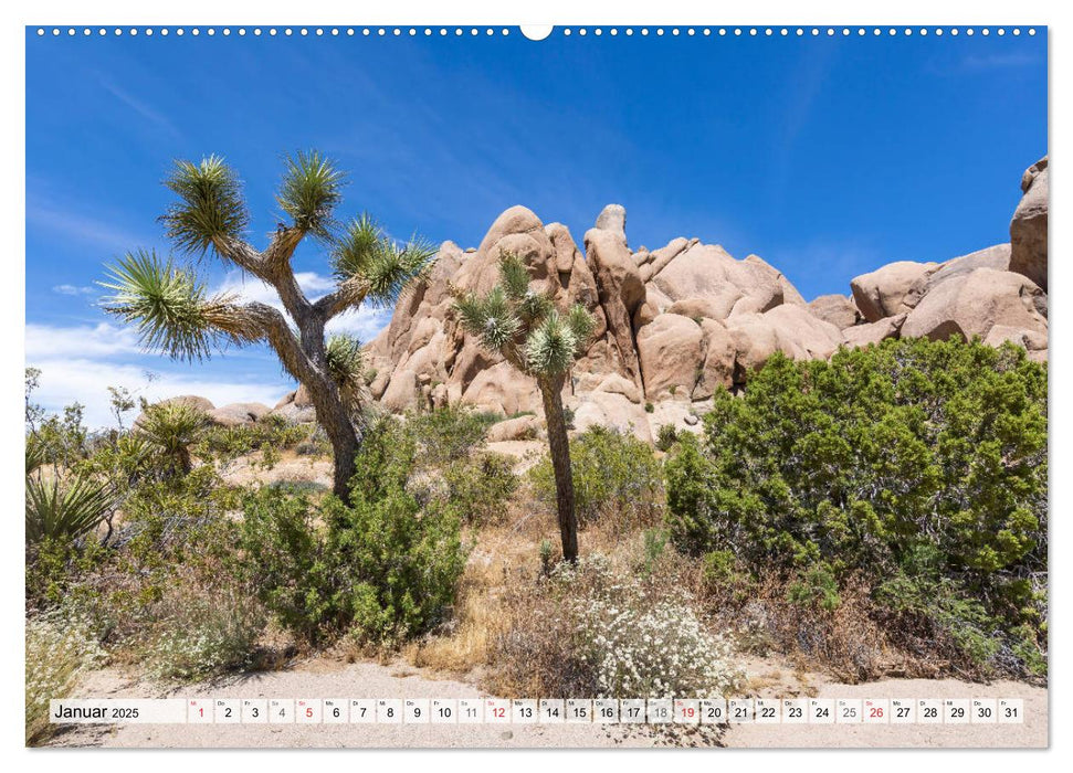 JOSHUA TREE NATIONAL PARK Wüstenimpressionen aus Südkalifornien (CALVENDO Premium Wandkalender 2025)