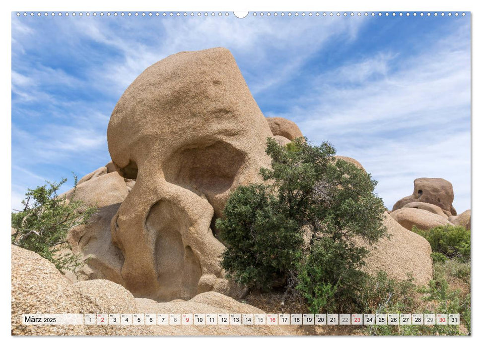 JOSHUA TREE NATIONAL PARK Wüstenimpressionen aus Südkalifornien (CALVENDO Premium Wandkalender 2025)