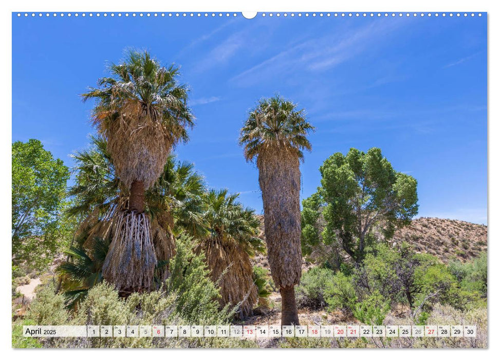 JOSHUA TREE NATIONAL PARK Wüstenimpressionen aus Südkalifornien (CALVENDO Premium Wandkalender 2025)