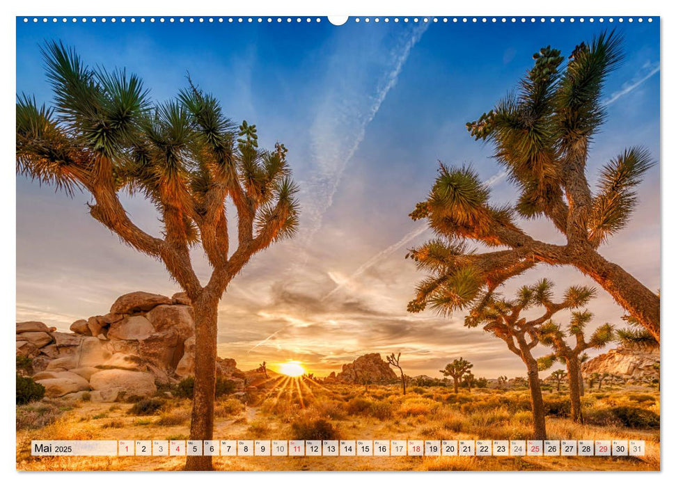 JOSHUA TREE NATIONAL PARK Wüstenimpressionen aus Südkalifornien (CALVENDO Premium Wandkalender 2025)