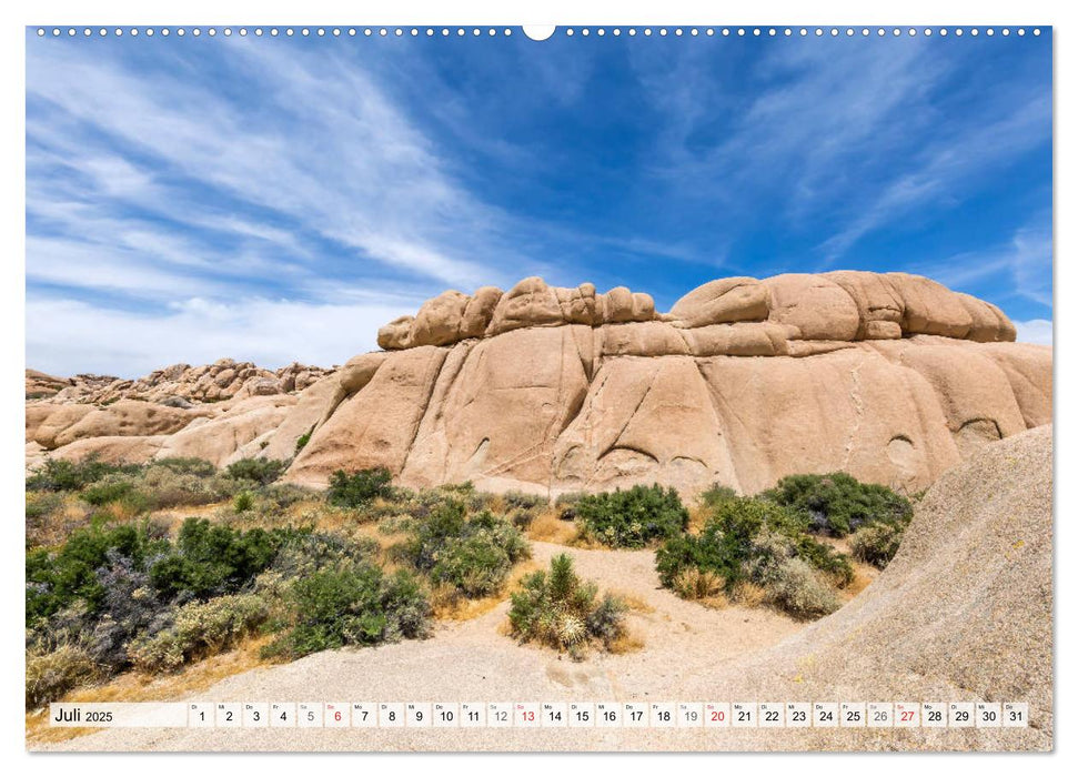 JOSHUA TREE NATIONAL PARK Wüstenimpressionen aus Südkalifornien (CALVENDO Premium Wandkalender 2025)