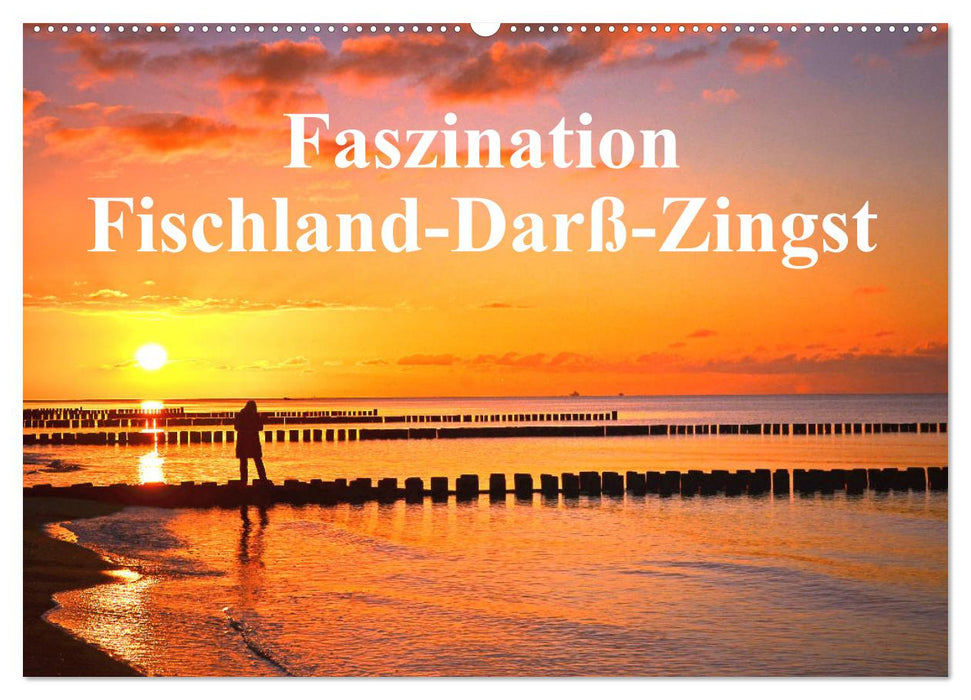 Faszination Fischland-Darß-Zingst (CALVENDO Wandkalender 2025)