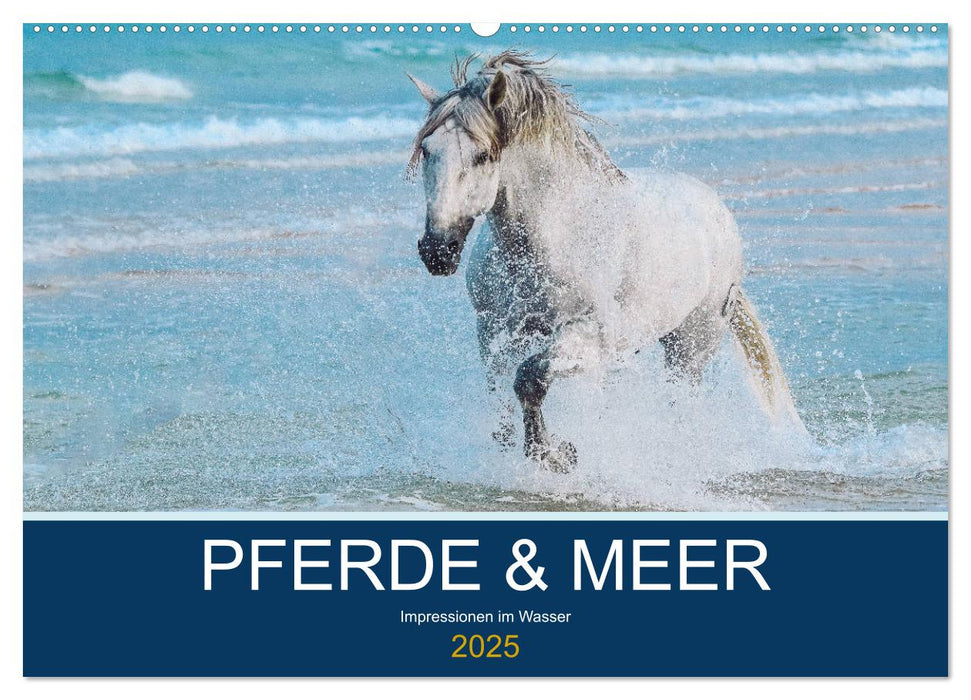 PFERDE & MEER (CALVENDO Wandkalender 2025)