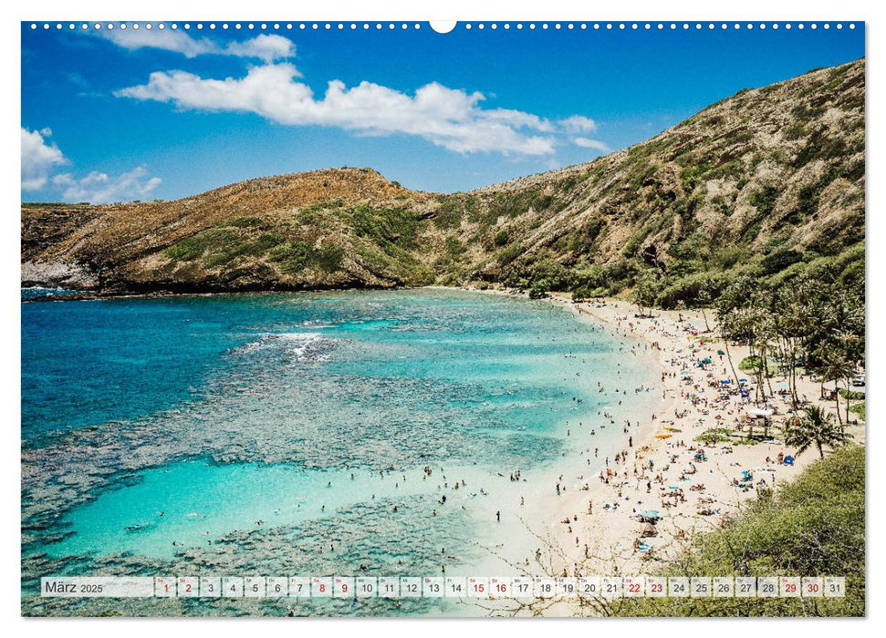 Aloha Hawaii (CALVENDO Premium Wandkalender 2025)