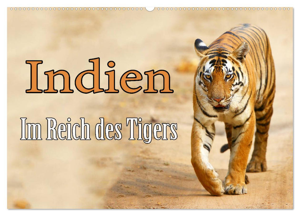 Indien - Im Reich des Tigers (CALVENDO Wandkalender 2025)
