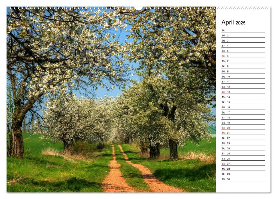 Landschaften im Harz (CALVENDO Premium Wandkalender 2025)