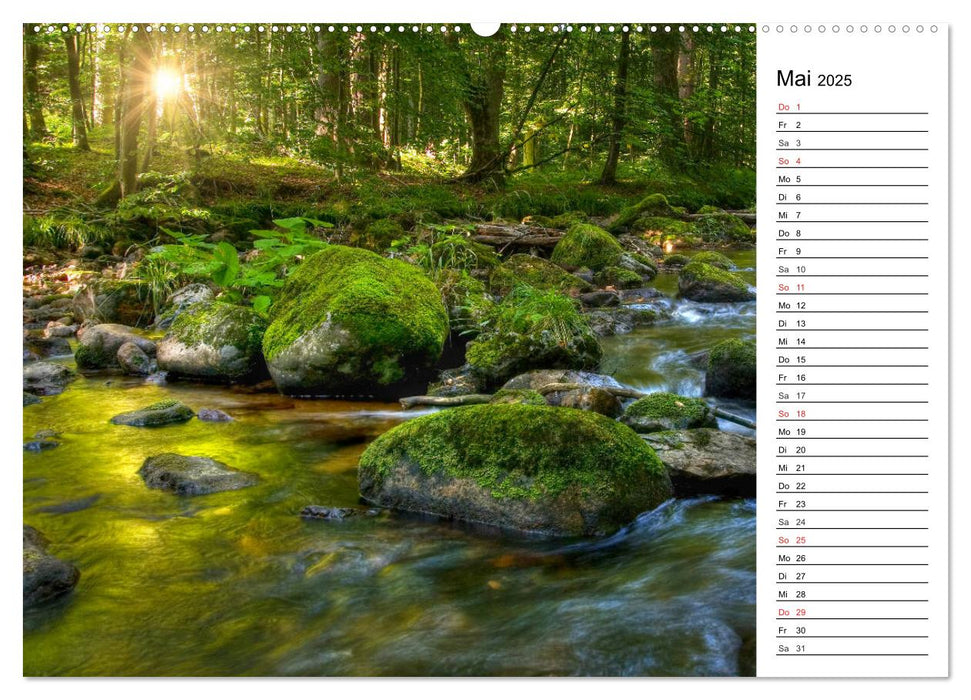 Landschaften im Harz (CALVENDO Premium Wandkalender 2025)