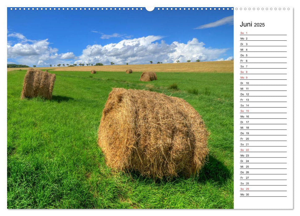 Landschaften im Harz (CALVENDO Premium Wandkalender 2025)