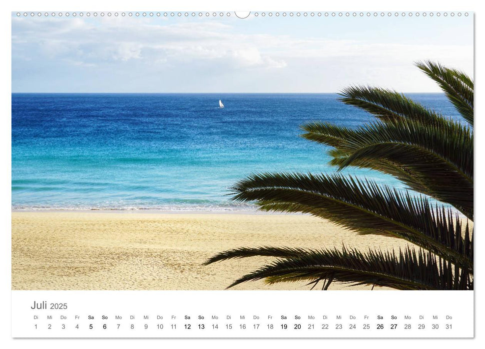 Fuerteventura - die Wüsteninsel der Kanaren (CALVENDO Premium Wandkalender 2025)