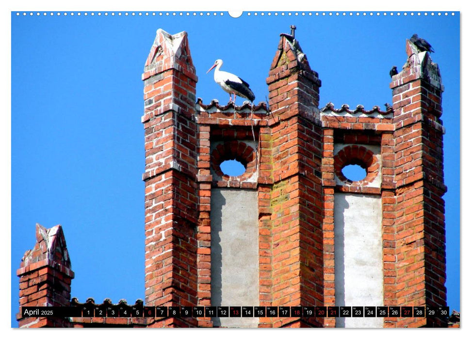 Im Paradies der Störche - Dorfkirchen als Storchkirchen in Ostpreußen (CALVENDO Wandkalender 2025)