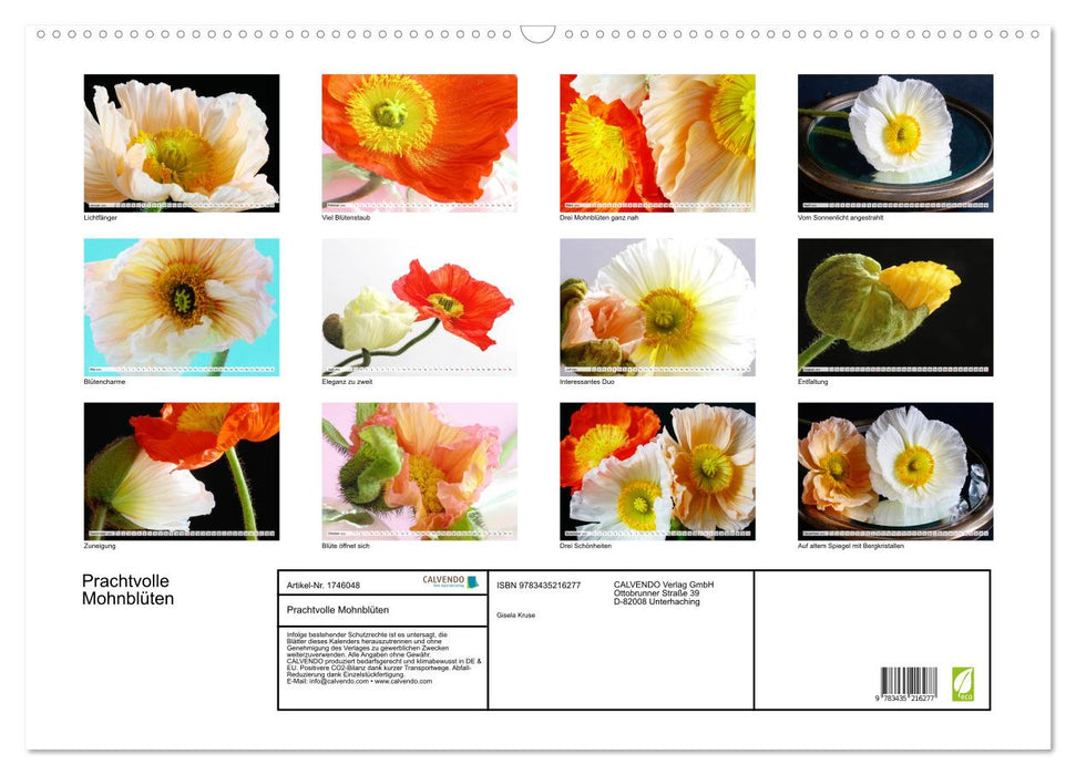 Prachtvolle Mohnblüten (CALVENDO Wandkalender 2025)