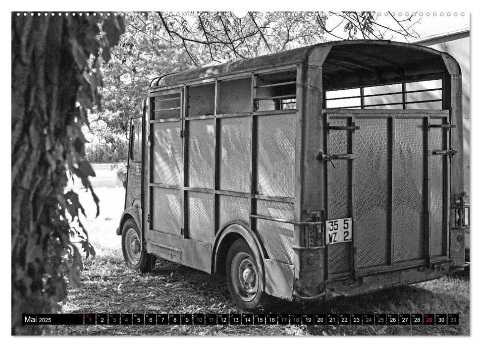 Citroën HY eine Legende in Schwarzweiß (CALVENDO Wandkalender 2025)