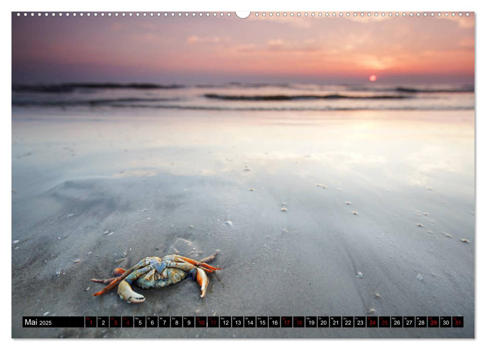 Sankt Peter Ording Sandstrand (CALVENDO Premium Wandkalender 2025)