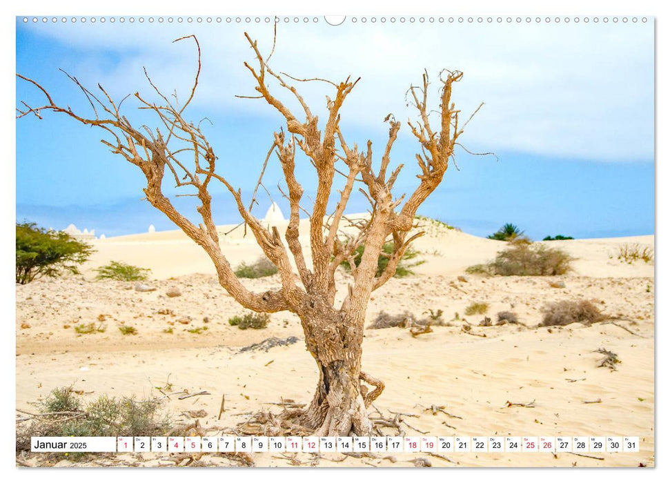 Boa Vista - die drittgrößte Kapverdische Insel (CALVENDO Wandkalender 2025)