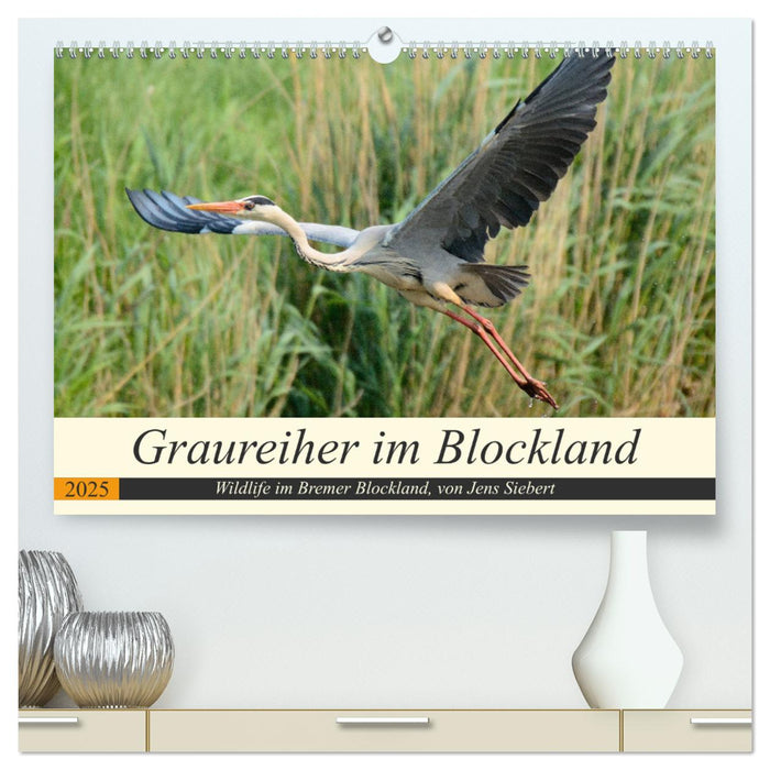 Graureiher im Blockland (CALVENDO Premium Wandkalender 2025)