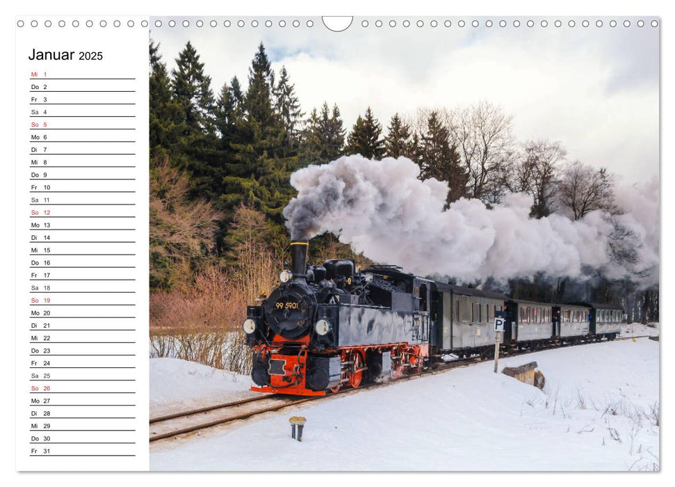 Schmalspurbahnen im Harz (CALVENDO Wandkalender 2025)