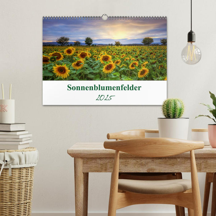 Sonnenblumenfelder (CALVENDO Wandkalender 2025)