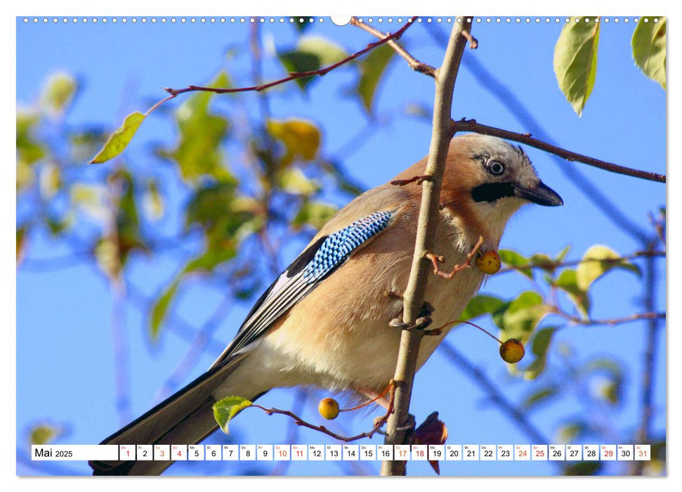 Faszination Natur - Schöne Details am Wegrand (CALVENDO Premium Wandkalender 2025)