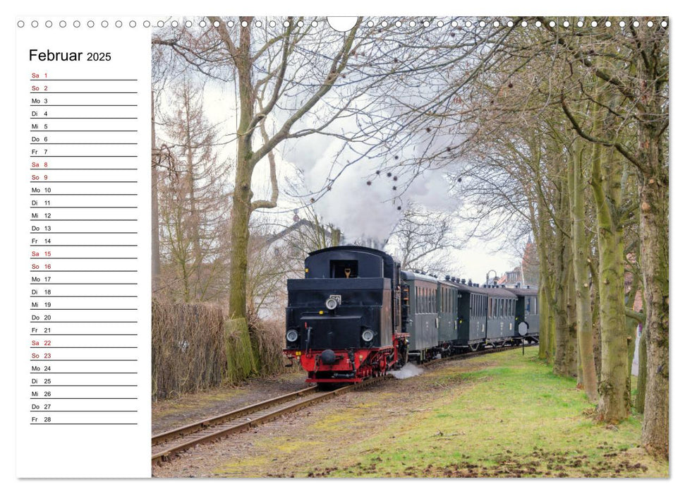 Die Mansfelder Bergwerksbahn (CALVENDO Wandkalender 2025)