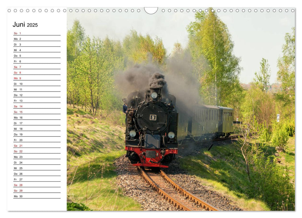 Die Mansfelder Bergwerksbahn (CALVENDO Wandkalender 2025)