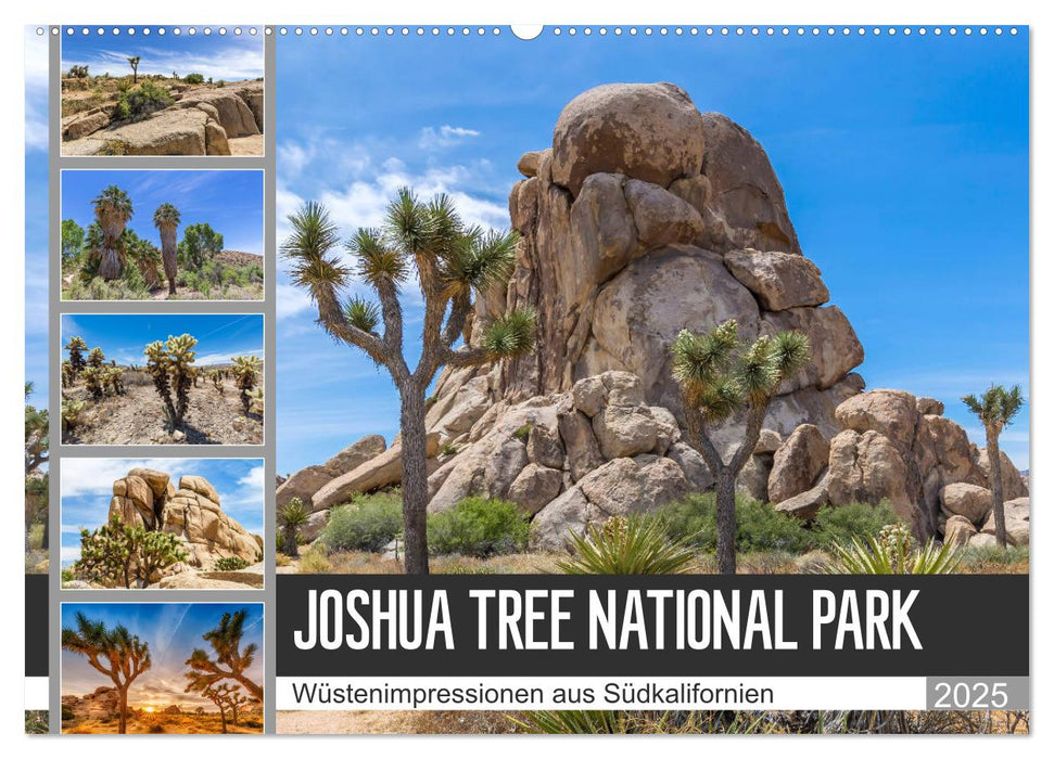 JOSHUA TREE NATIONAL PARK Wüstenimpressionen aus Südkalifornien (CALVENDO Wandkalender 2025)