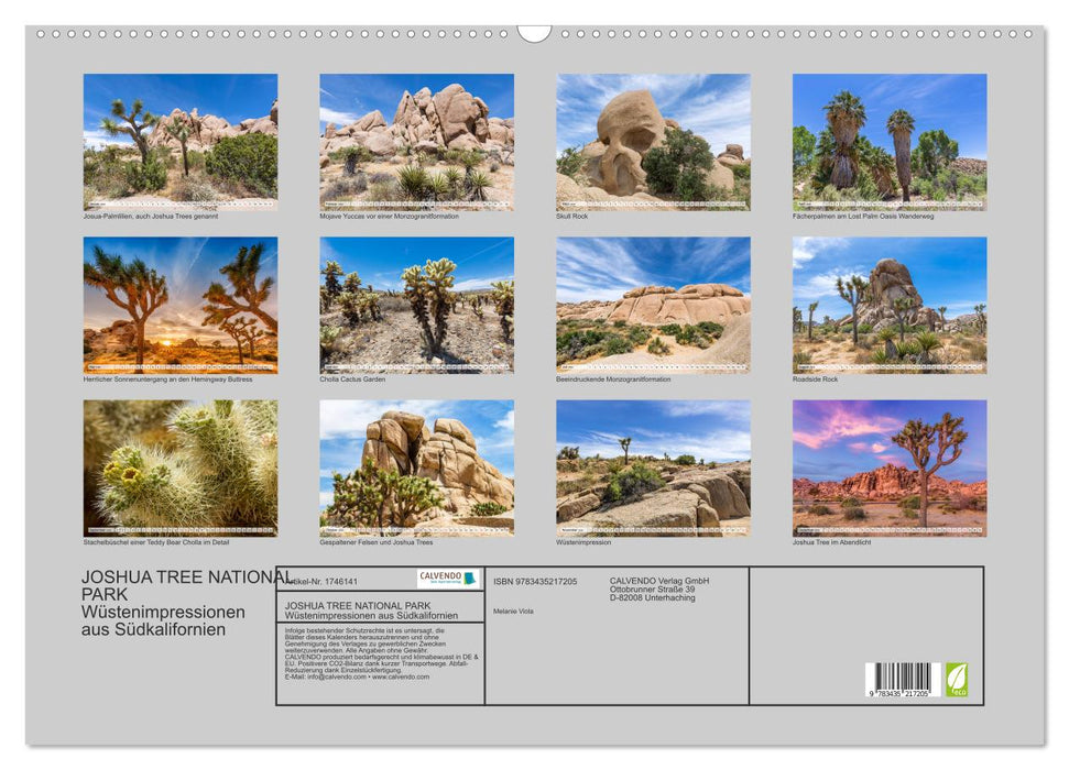 JOSHUA TREE NATIONAL PARK Wüstenimpressionen aus Südkalifornien (CALVENDO Wandkalender 2025)