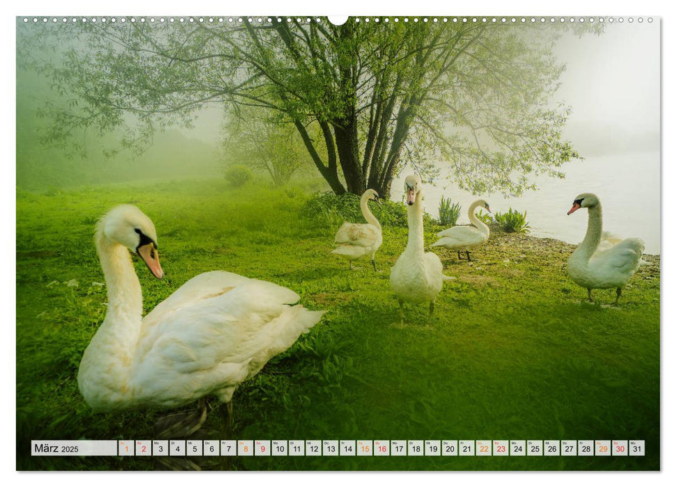 Bielefeld - Der Obersee - unendliche Motive... (CALVENDO Premium Wandkalender 2025)