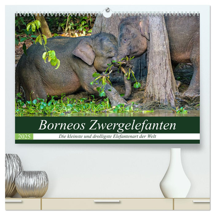 Borneos Zwergelefanten (CALVENDO Premium Wandkalender 2025)