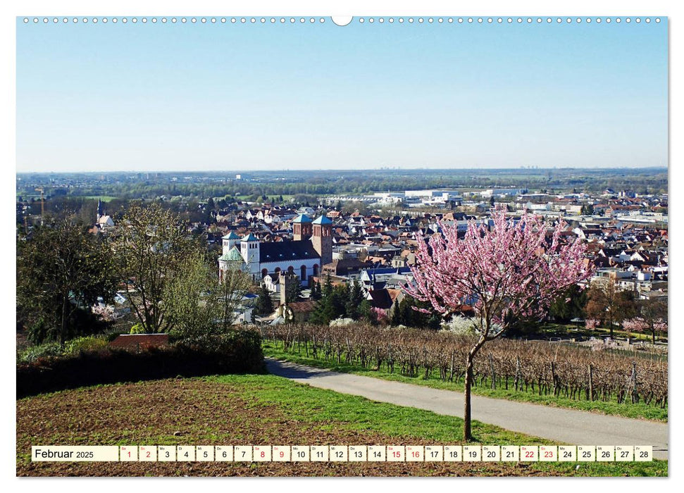 Die Bergstraße - Sehenswerte Städte, Natur und weite Ausblicke (CALVENDO Wandkalender 2025)