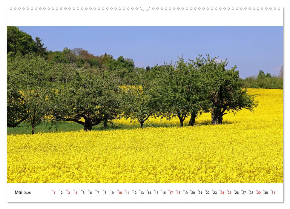 Hegau und See (CALVENDO Wandkalender 2025)