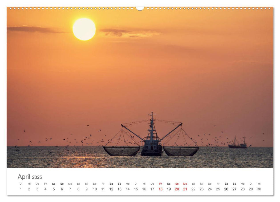 Nordfriesland (CALVENDO Premium Wandkalender 2025)