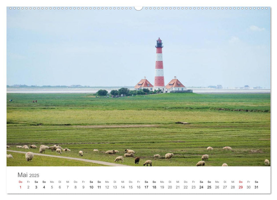 Nordfriesland (CALVENDO Premium Wandkalender 2025)