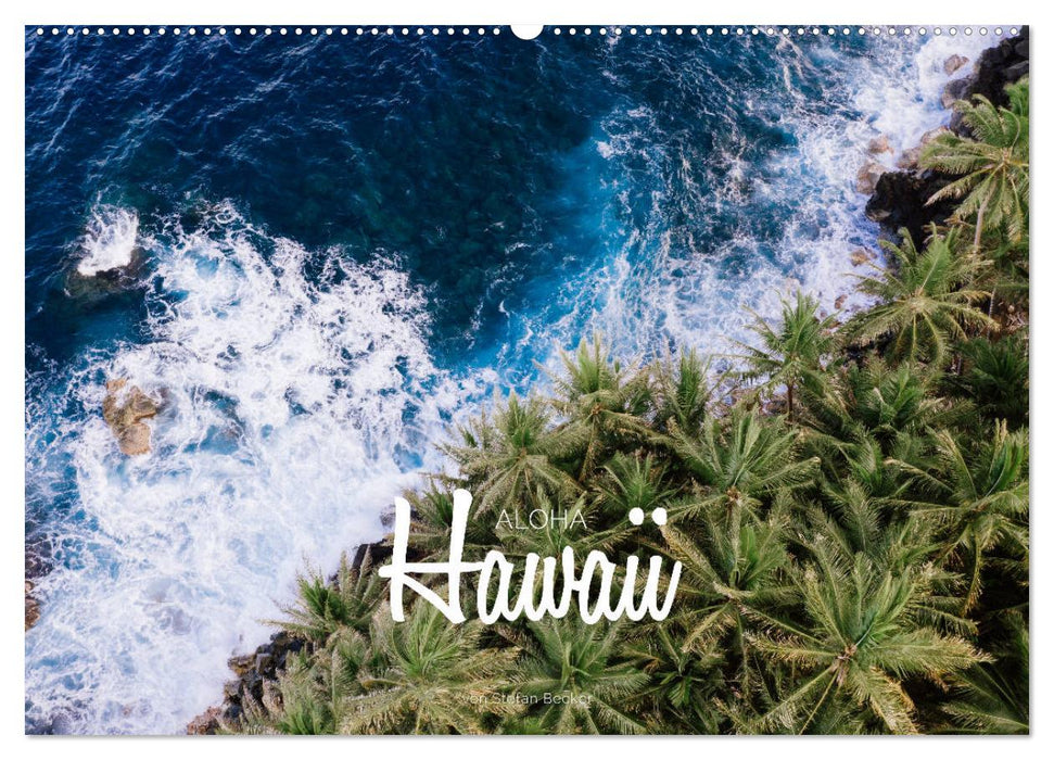 Aloha Hawaii (CALVENDO Wandkalender 2025)