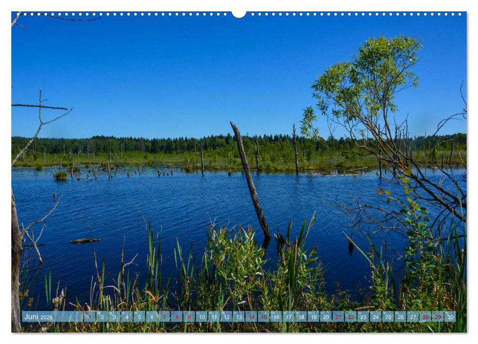 Villingen-Schwenningen - Kultur und Natur im Einklang (CALVENDO Premium Wandkalender 2025)