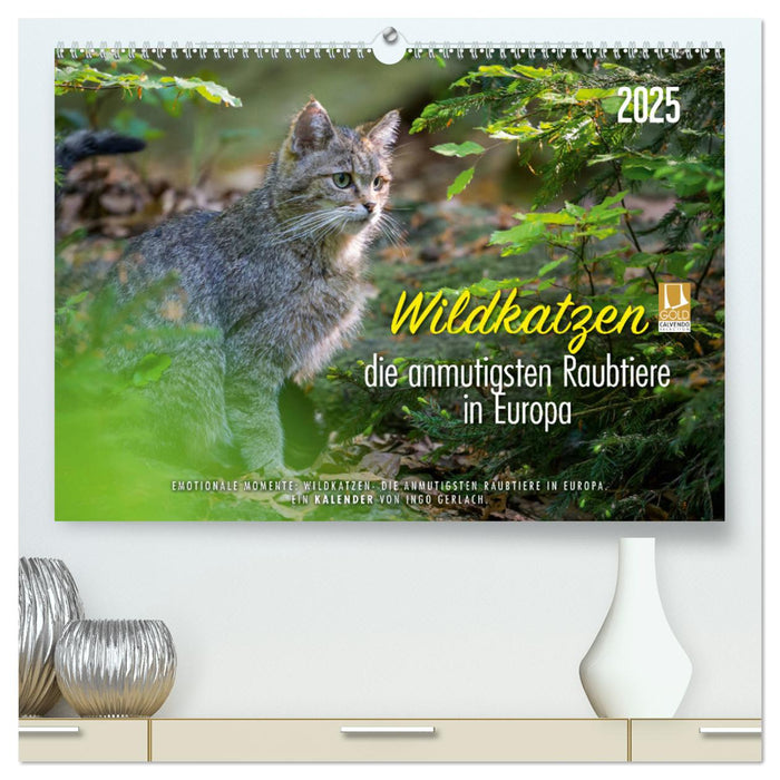 Wildkatzen - die anmutigsten Raubiere in Europa. (CALVENDO Premium Wandkalender 2025)